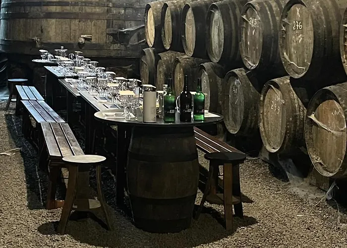 Daire Comfortable & Senhora da Hora